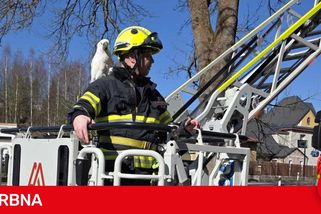 Že papoušky na rameni mají jenom piráti? Ne, v Jablonci nad Nisou i hasiči