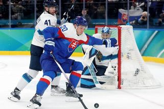 Komentář: Zpověď slovenského hokejového fanouška: Víc jsme udělat nemohli - Seznam Zprávy