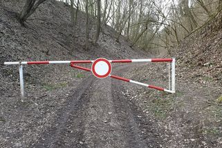 Někteří lesníci řeší přestupky houbařů bez policie. A jejich metody fungují