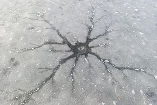 Ledové hvězdice. Vyfotili jsme nevšední úkaz na zamrzlém Máchově jezeře - Novinky