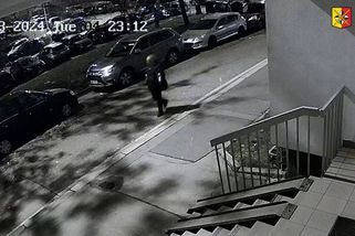 Prošel kolem těla dívky, která skočila z paneláku v Praze. Policie hledá svědka z videa - Novinky