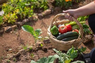 Poradna: Jak si zvýšit důchod na poslední chvíli?