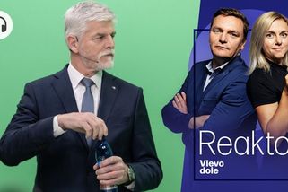 Vlevo dole: Den s kočkou v posteli Pavlovi pomohl - Seznam Zprávy