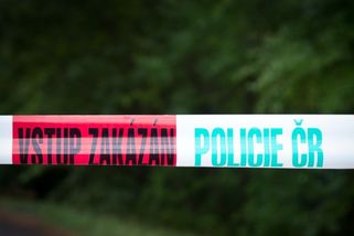 Policie pátrá po 13leté školačce - Novinky