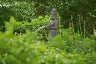 Zahrada Klusových láskyplná (Část 2.) | Zahradou s Ferdinandem