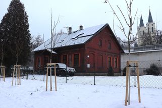 V ORLOVÉ BYLO VYSÁZENO BEZMÁLA 70 NOVÝCH STROMŮ