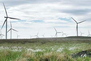 Rázný obrat odpůrce větrných elektráren aneb Chvála lidských zvuků - Médium.cz