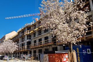 Čert vem svátek. Na stavbě brněnského biskupství se makalo i o velikonoční neděli - Novinky