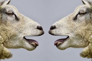 Jak bezpečně zničit každou diskusi - Médium.cz