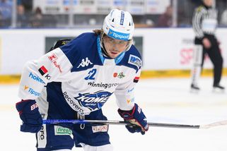 Disciplinární komise suspendovala brněnského Pospíšila. Naopak Kundrátek trestu unikl - Sport.cz