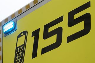 Na Náchodsku pokousal pes malé dítě, skončilo v umělém spánku - Novinky