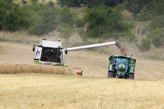 Stanjura: Pokud zemědělci vydělávají na drahých potravinách, snížím jim dotace - Seznam Zprávy