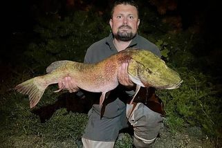 Rybář na Žďársku ulovil obří štiku, měřila přes metr a bojovala jako drak