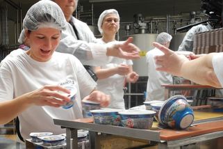 Mlékárně Madeta v roce 2024 vzrostl meziročně zisk více než trojnásobně - Novinky