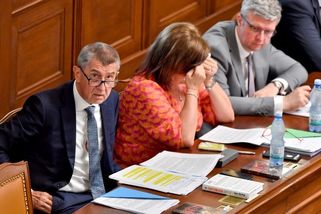 Nečekaná zpráva o předsednictvu hnutí ANO: Vede je...