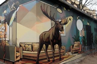 Los ve světle ramp. Sprejeři vymazlili desítky trafostanic na Plzeňsku - Novinky