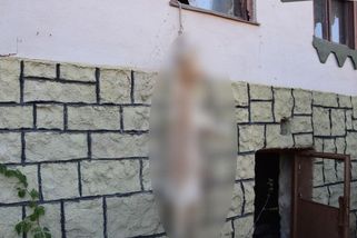 Pes na Slovensku zůstal v domě bez jídla a vody. Proskočil oknem a oběsil se na vodítku - Novinky