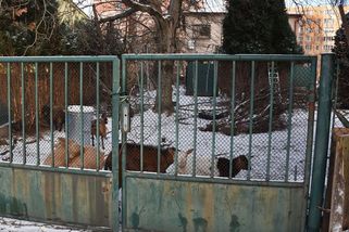 Lidé v Českém Těšíně sebrali chovateli hladová zvířata. Případ řeší policie - Novinky