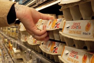 Vejce kvůli ptačí chřipce a vyšší poptávce ještě podraží - Novinky