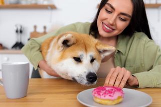 15 potravin, které pes nesmí jíst. Některé mu mohou vážně uškodit - Médium.cz