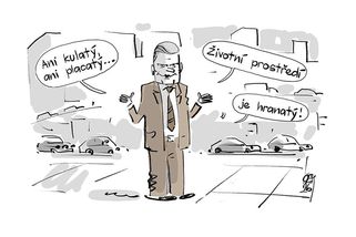 KEMEL: Ani kulatý, ani placatý... - Novinky