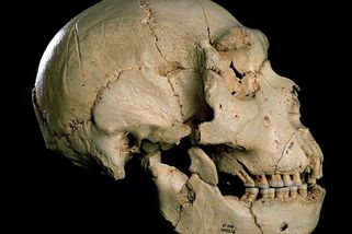 Lidstvo v době kamenné málem vyhynulo. Na Zemi žilo jen 1280 jedinců - Novinky