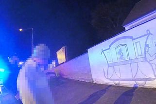 Samozvaný malíř doladil kresbu na budově budějovického muzea. Drnem a úplně střízlivý - Novinky