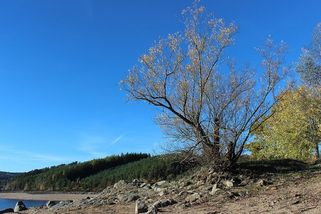 Josef Šebánek: Děda Homolka se z dělníka stal hvězdou, na prezidenta Novotného pokřikoval přes vodu - Médium.cz