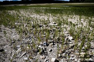 Nebezpečí pro klima z Arktidy. „Je až 50krát účinnější než oxid uhličitý.“ - Seznam Zprávy