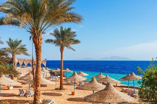 Rodiče odletěli k moři a nechali doma pět nezletilých dětí. A s nimi ještě pět psů a čtyři kočky - Novinky