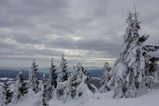 Teploty půjdou nahoru. Bude až devět stupňů - Novinky
