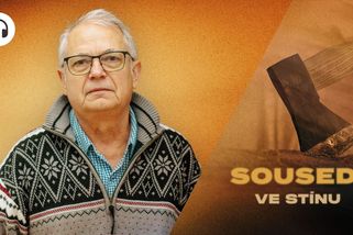 Muž se sekerou se přiznal. Platit přesto musel nevinný - Seznam Zprávy