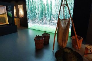 Zelené zlato a krajina světového dědictví - Médium.cz