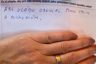 Aby odvolal vládu. Babiš rozdává dotazníky, co by po něm lidé chtěli, kdyby byl prezidentem - Novinky