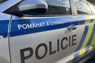 Muž na Zlínsku hrozil exekutorům zbraní a chtěl na ně poštvat psy - Novinky