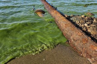 U břehu Lipna se povalují desítky odpadních rour. Vědci je při úbytku hladiny zmapovali - Novinky