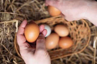 Vajíčka nedávejte do lednice, uškodíte jim