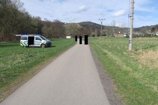 Čtyřletá dívka se v Českém ráji připletla pod kola nezletilé cyklistce. Vyšetřuje to policie - Novinky