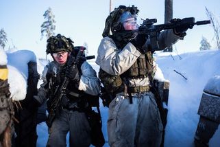 Narvská lidová republika. Ruská kampaň vyzývá k ozbrojenému odporu v Estonsku - Novinky