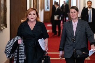 Schillerová ukáže rozpočet. Vyšší schodek může porušovat zákon - Seznam Zprávy