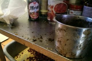 Čínská restaurace v Madridu servírovala holuby z ulice jako pekingskou kachnu. To nejhorší ale kontrolory ještě čekalo - Novinky