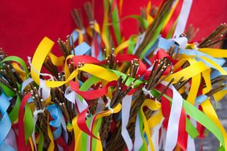 Vypěstujte si svůj vlastní pomlázkovník