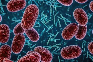 AI za dva dny vyřešila problém superbakterií. Vědcům to trvalo roky - Novinky