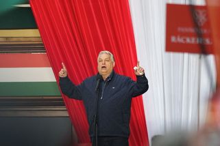 Před maďarskými volbami se aktivovaly falešné účty na síti X - Novinky