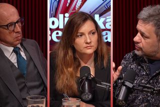 Je zajímavé, že Babiš Orbána nepodpořil před volbami, míní Telička - Novinky