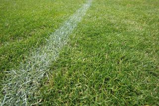 Historický gól! Brankář přiblížil záchranu v lize trefou z 90 metrů - Sport.cz