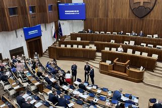 Slovenský parlament odmítl odsoudit násilí Ruska na ukrajinských dětech - Novinky