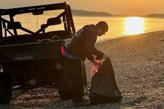 Hororový psí ostrov u Seattlu. Moře vyplavilo už přes dvacet zohavených psích mrtvol, nikdo neví, odkud se berou - Novinky