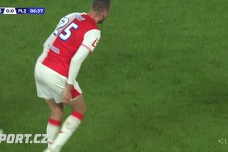 Komise si posvítila na plivanec Chorého - Sport.cz