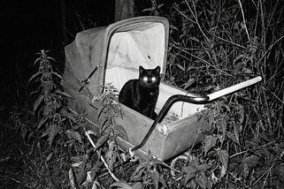 V Kutné Hoře vystavuje umělec samouk. Na sítích ho sleduje čtvrt milionu lidí - Seznam Zprávy